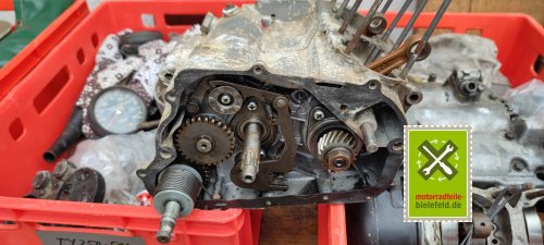 IMG_20230829_111901